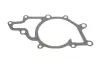 Водяная помпа (насос) SKF VKPC88850