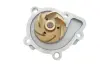 Водяная помпа (насос) SKF VKPC95891