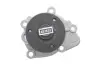 Водяная помпа (насос) SKF VKPC95891