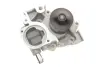 Водяная помпа (насос) SKF VKPC98003