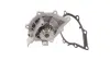 Водяная помпа (насос) SKF VKPC 83646