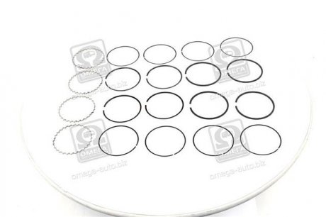 Поршневые кольца sm mvi 793528504