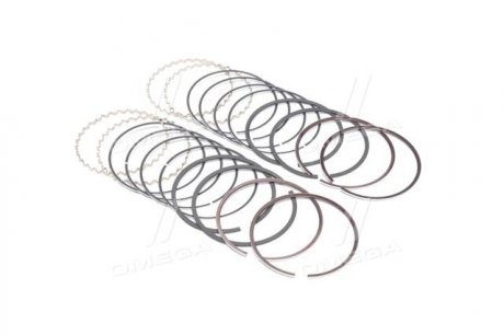 Поршневые кольца sm mvi 793724004