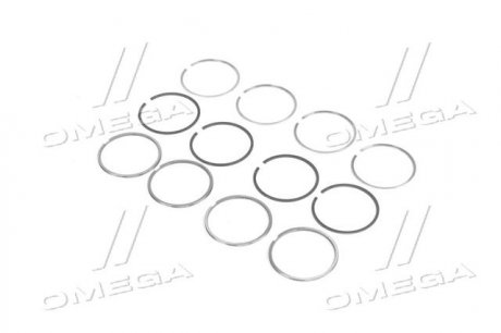 Поршневые кольца sm mvi 793830004