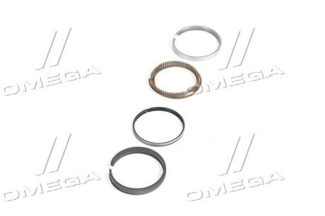 Поршневые кольца sm mvi 790719006