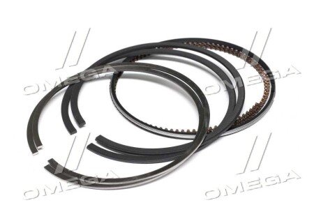 Поршневые кольца sm mvi 790739002