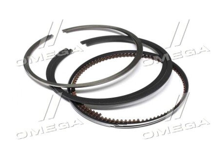 Поршневые кольца sm mvi 790739002