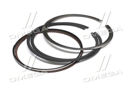 Поршневые кольца sm mvi 790739002