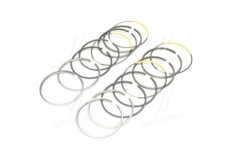 Поршневые кольца sm mvi 791010004