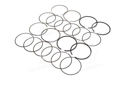 Поршневые кольца sm mvi 791143004