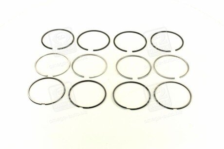 Поршневые кольца sm mvi 792096004