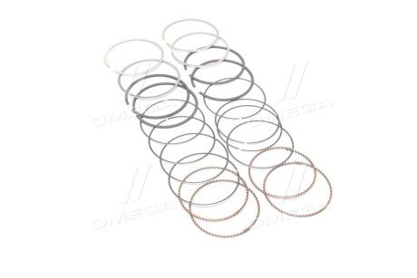 Поршневые кольца sm mvi 792103004