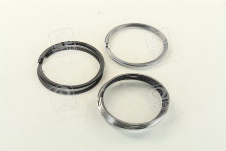 Поршневые кольца sm mvi 792125004