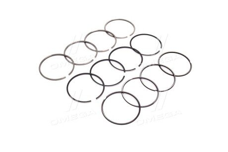 Поршневые кольца sm mvi 792463004