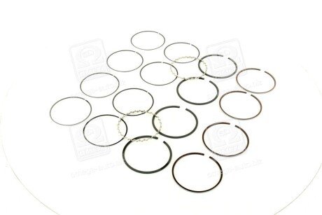 Поршневые кольца sm mvi 793528004