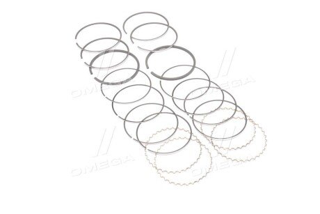 Поршневые кольца sm mvi 793534004