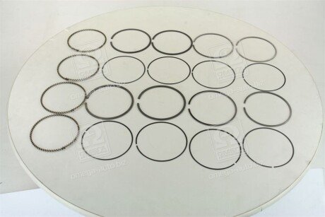 Поршневые кольца sm mvi 793535504