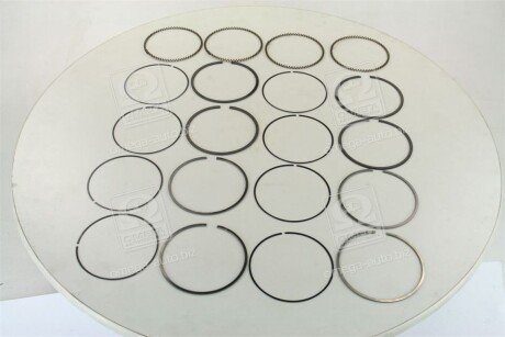 Поршневые кольца sm mvi 793535504