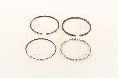 Поршневые кольца sm mvi 793541502