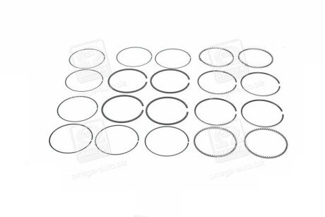 Поршневые кольца sm mvi 793548004