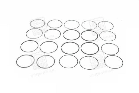 Поршневые кольца sm mvi 793548004