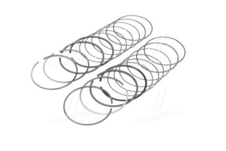 Поршневые кольца sm mvi 793549004