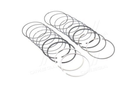 Поршневые кольца sm mvi 793549004