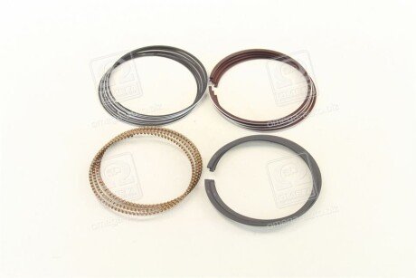 Поршневые кольца sm mvi 793559004