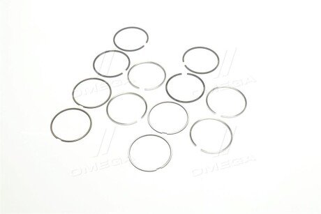 Поршневые кольца sm mvi 793758004