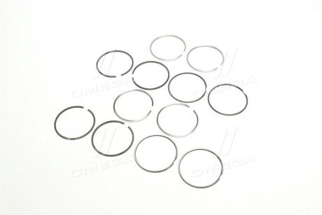 Поршневые кольца sm mvi 793758004