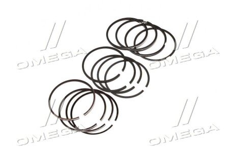 Поршневые кольца sm mvi 793765004