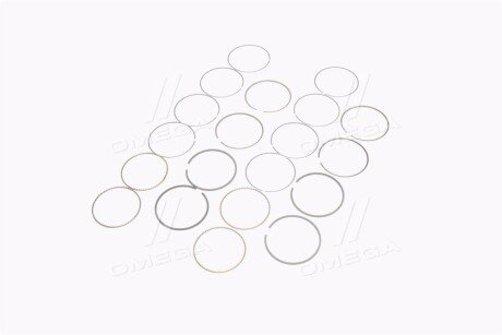 Поршневые кольца sm mvi 793823004