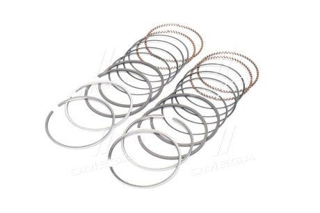 Поршневые кольца sm mvi 793828004