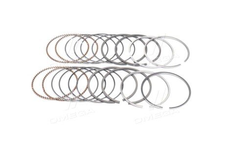 Поршневые кольца sm mvi 793828004