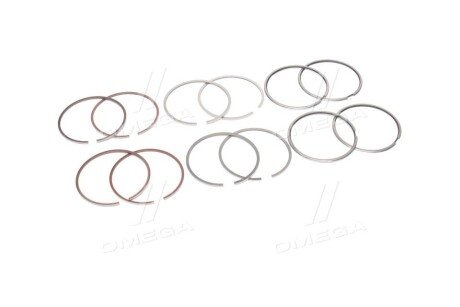 Поршневые кольца sm mvi 793829004