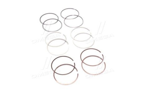 Поршневые кольца sm mvi 793829004