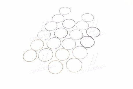 Поршневые кольца sm mvi 795003004