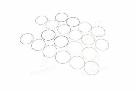 Поршневые кольца sm mvi 795003004