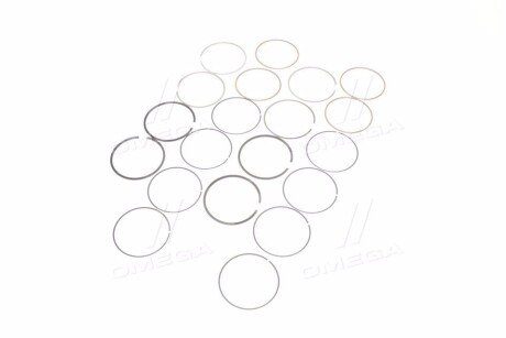 Поршневые кольца sm mvi 795003004