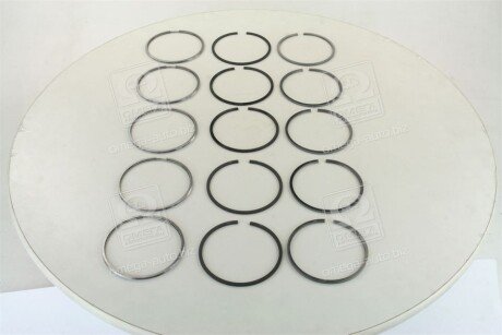 Поршневые кольца sm mvi 795041005