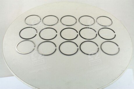 Поршневые кольца sm mvi 795041005