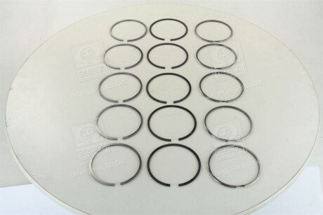 Поршневые кольца sm mvi 795041005