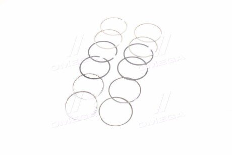 Поршневые кольца sm mvi 795059004