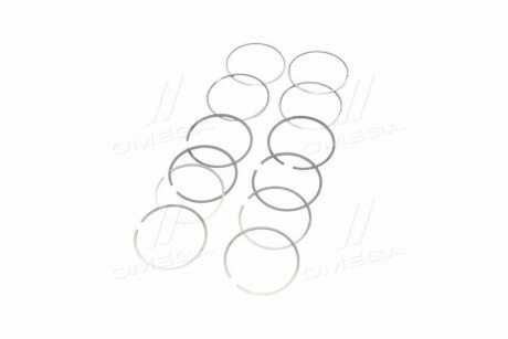 Поршневые кольца sm mvi 795059004