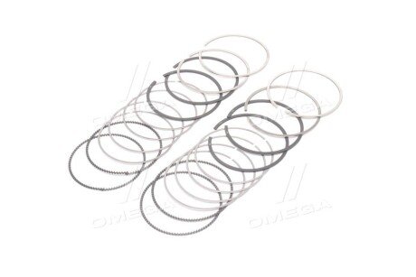 Поршневые кольца sm mvi 795075004