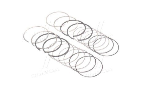 Поршневые кольца sm mvi 795075004