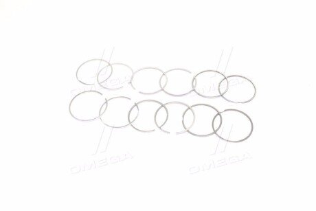 Поршневые кольца sm mvi 795098004