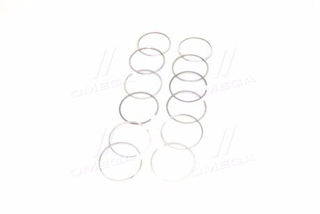 Поршневые кольца sm mvi 795098004