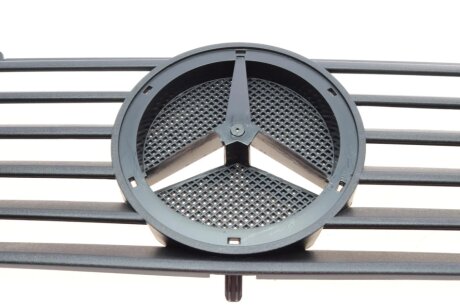 Решітка радіатора solgy DSC304092