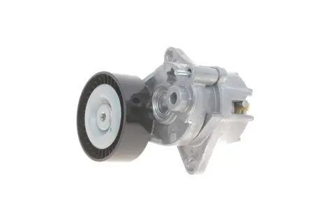Натяжитель ремня Solgy 110010
